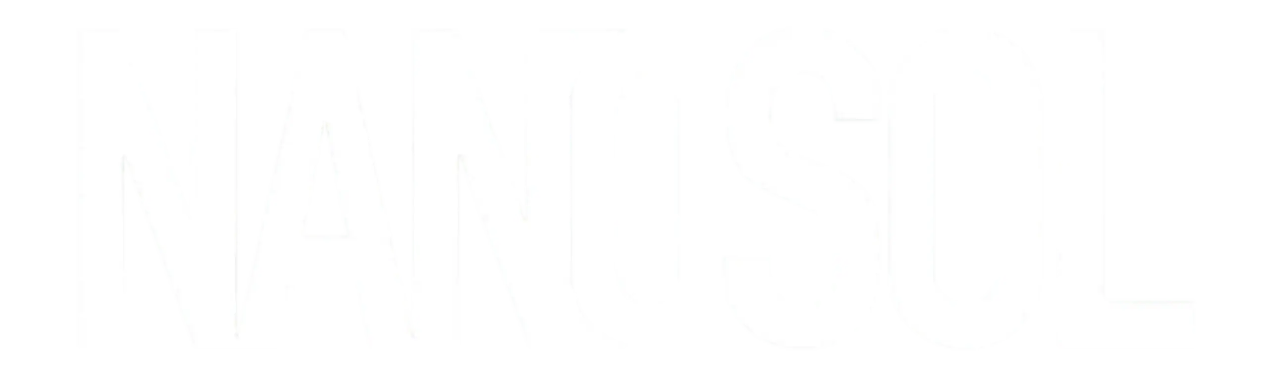 Nanosol-scaled.webp