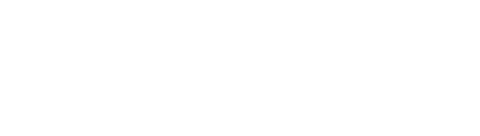 snowfeet_logo_bg_white_transparent